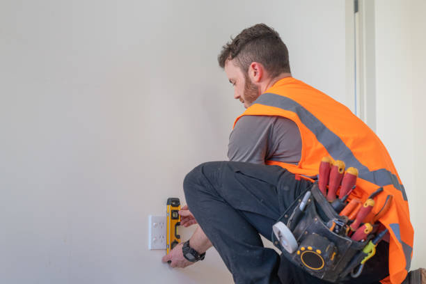 Best Electric Panel Repair  in Rossvle, IL